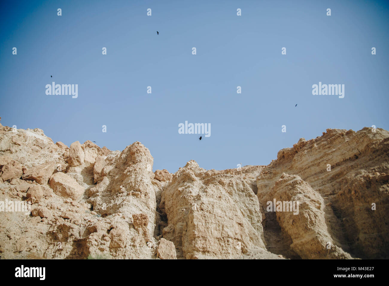 Birds circling the sky over Ein Gedi's Rock Cliff Stock Photo