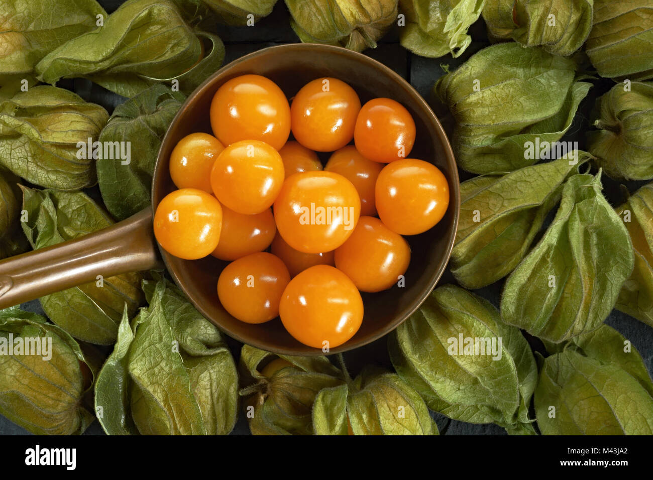 Physalis, an exotic fruit, a copper saucepan with yellow-orange fruits in green leaves Stock Photo