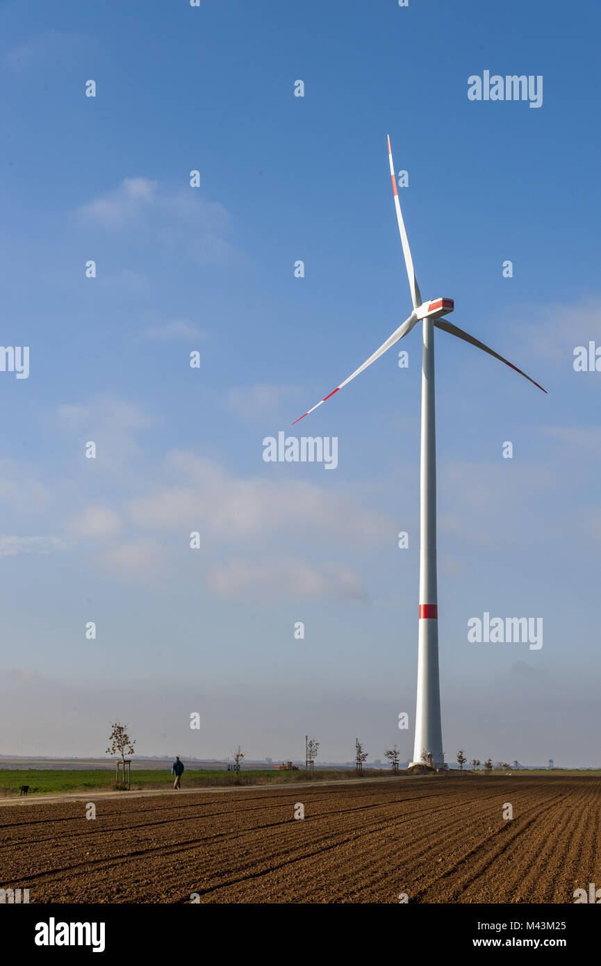 freestanding wind turbine in a field in the sunshi Stock Photo