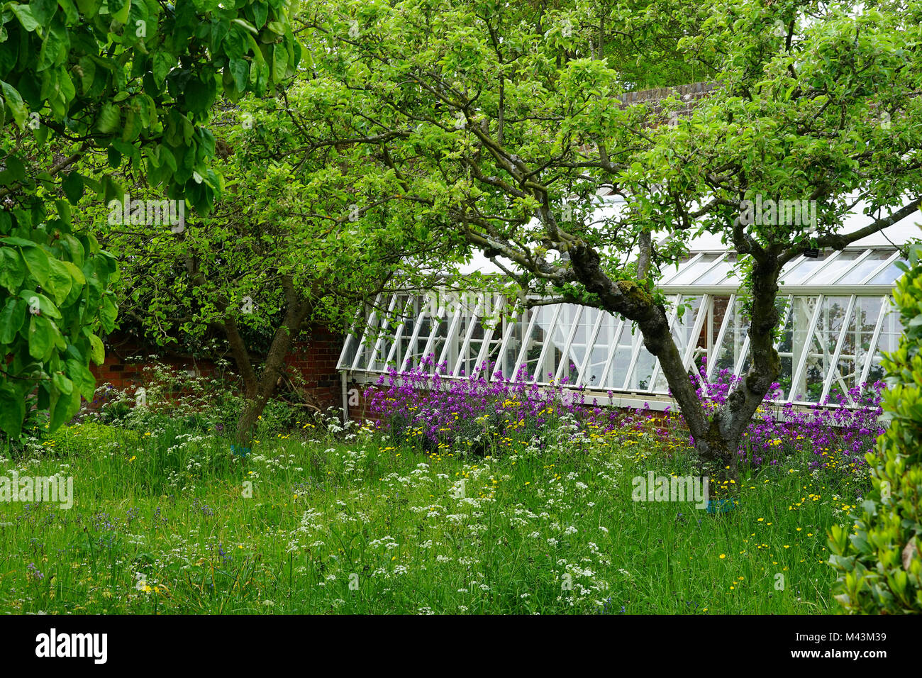 Manor house england hi-res stock photography and images - Alamy