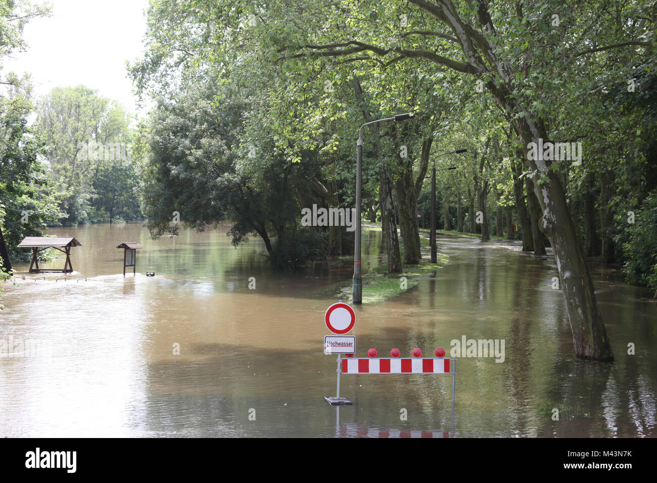 Elbe flood in Magdeburg city park in June 2013 Stock Photo