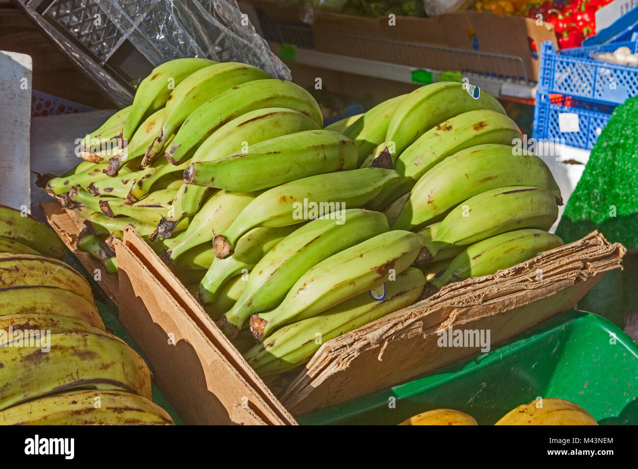 London, Lewisham   Plantains on display at an 'ethnic' greengrocer's shop in Deptford High Street Stock Photo