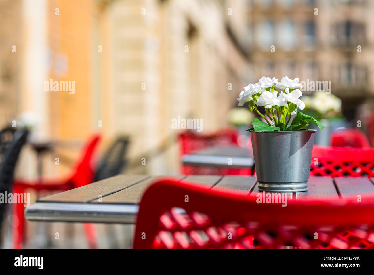 Cafe table with a pot of artificial flowers outdoor, Glasgow, Scotland