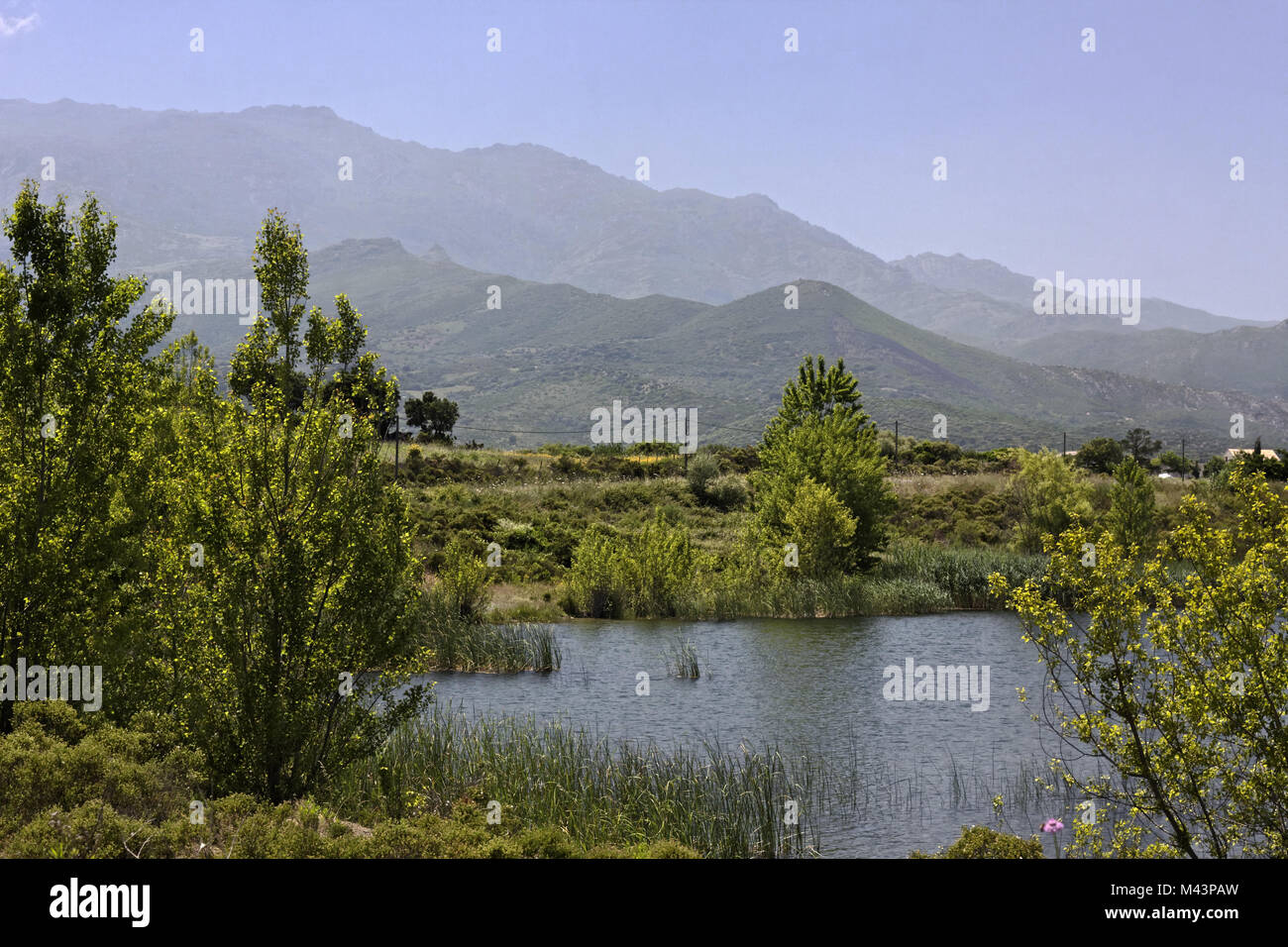 Padula lake near Oletta in the Nebbio, Corsica Stock Photo
