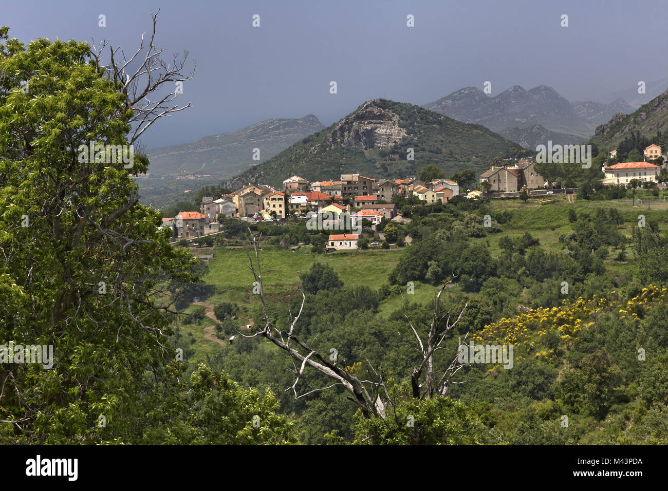 Mountain village Olmeta di Tuda, Corsica, France Stock Photo
