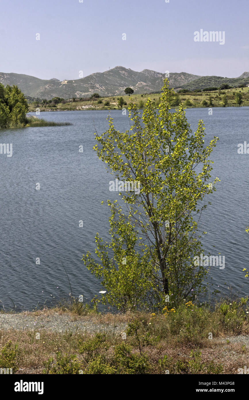 Lac de Padula (Padula lake), Oletta , Corsica Stock Photo