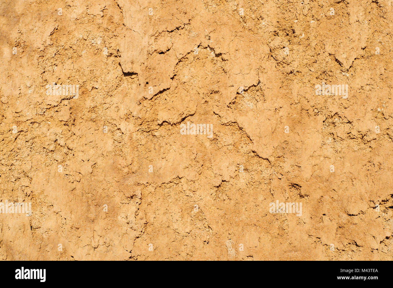 Clay soil texture background, dried surface Stock Photo