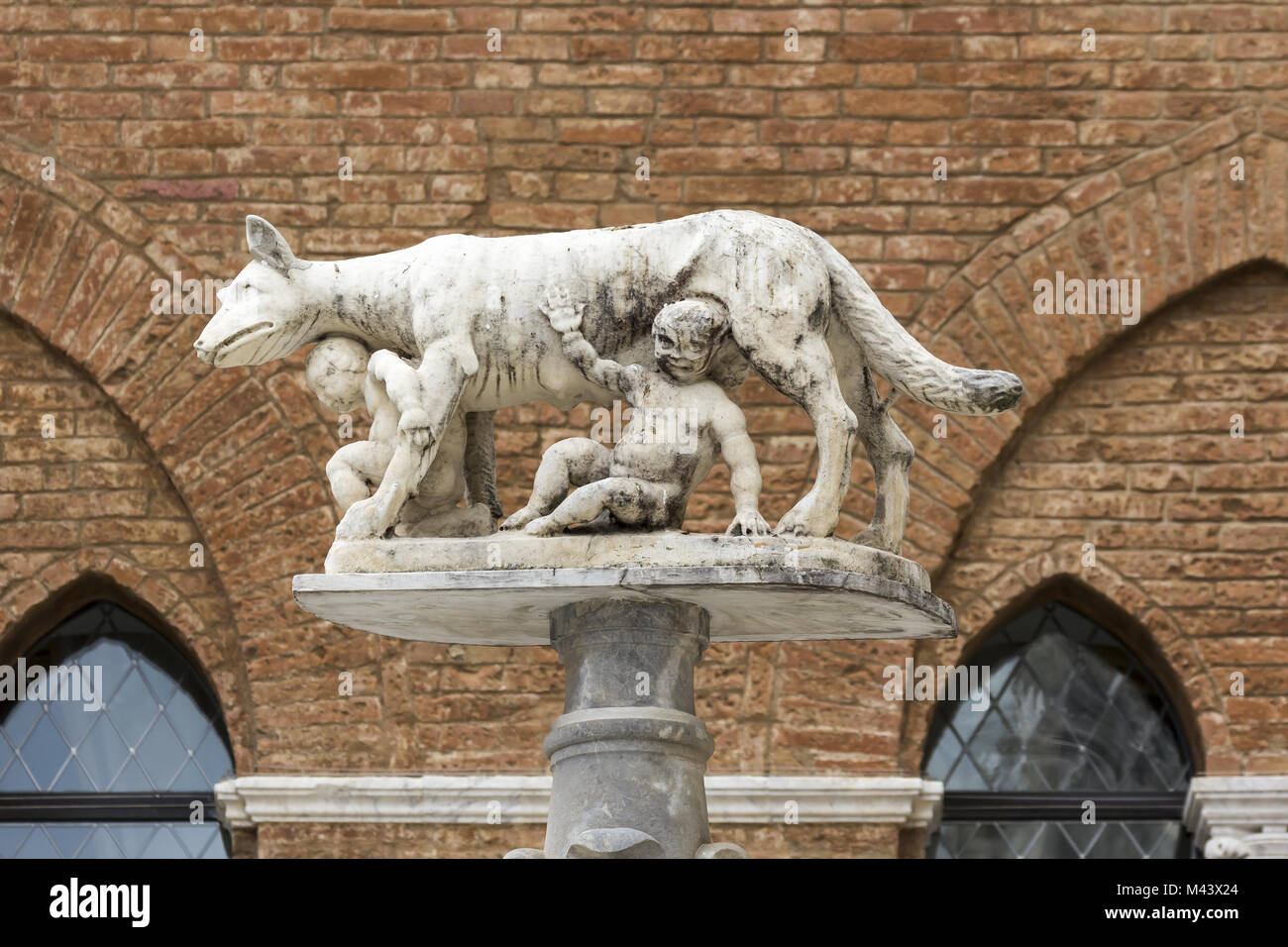 Siena, Statue of Wolf feeding Romulus and Remus Stock Photo Alamy