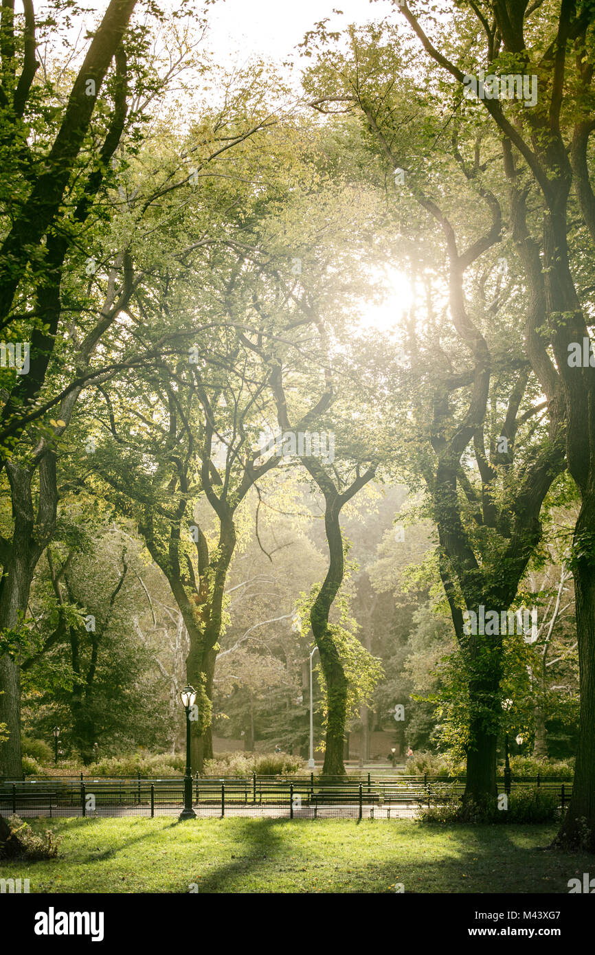 Early Morning Central Park, New York City Stock Photo