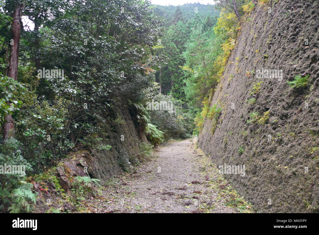 Amazing and spiritual Japan, walking the ancient 1000 year old Kumano Kodo'Nakahechi route' known as the Imperial trail Kii Peninsula, Southern Japan Stock Photo