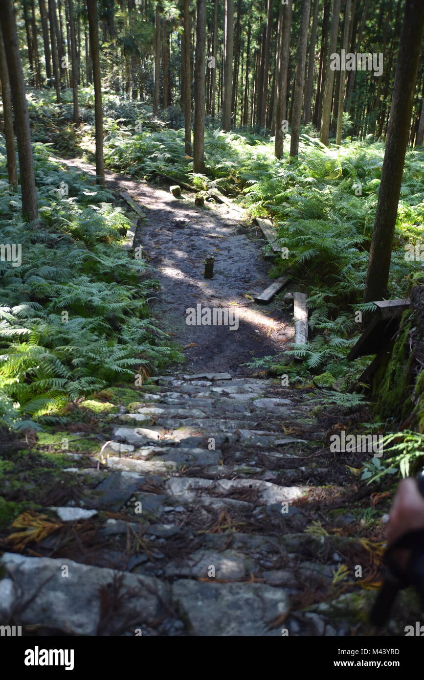 Amazing and spiritual Japan, walking the ancient 1000 year old Kumano Kodo'Nakahechi route' known as the Imperial trail Kii Peninsula, Southern Japan Stock Photo