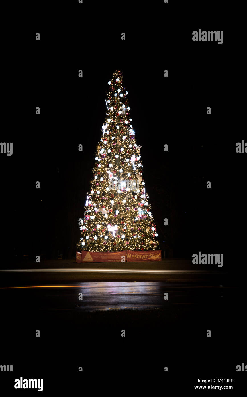 Christmas Tree Isolated on Black Stock Photo - Alamy