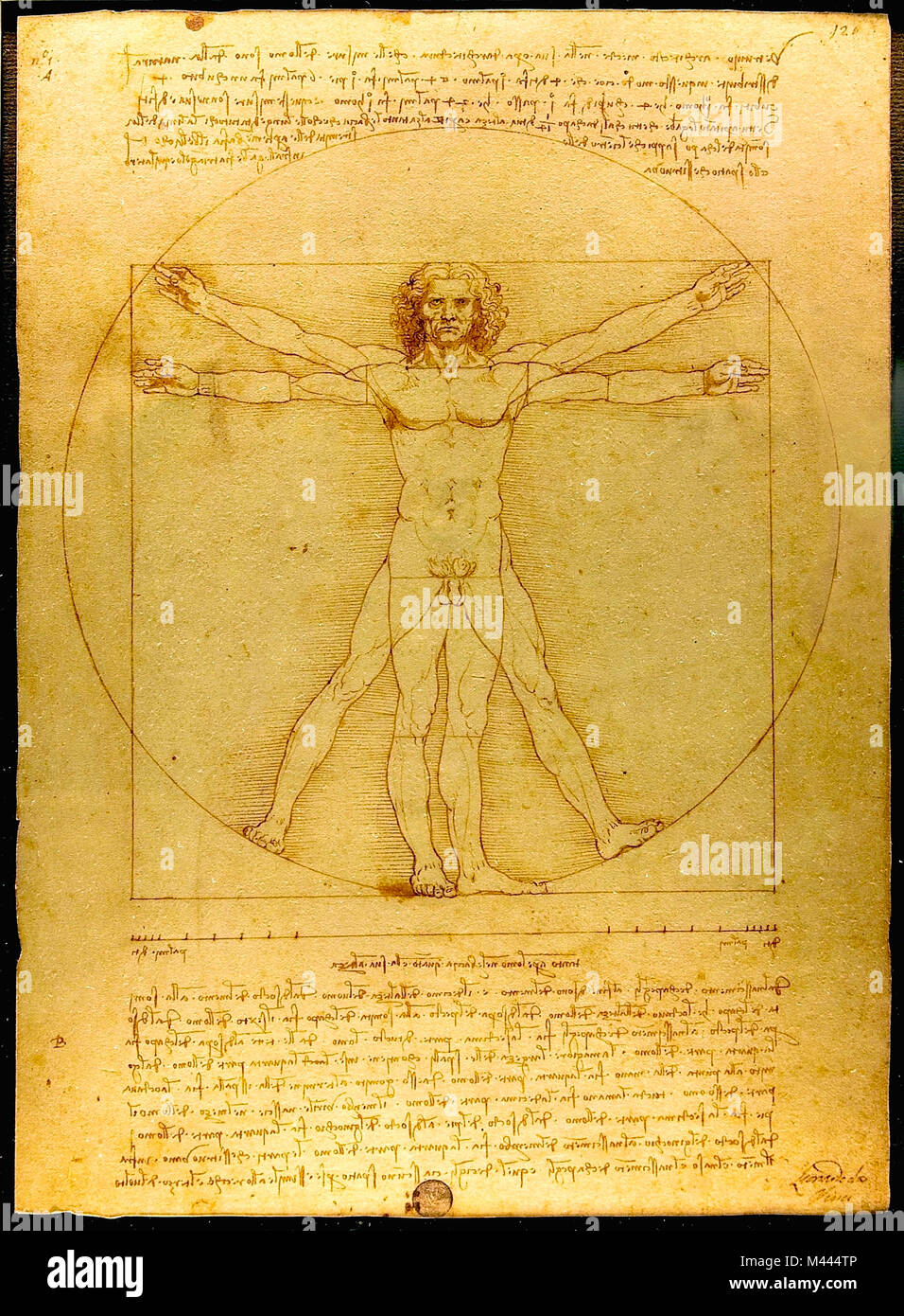 Leonardo da Vinci, The Vitruvian Man (c. 1485) Stock Photo