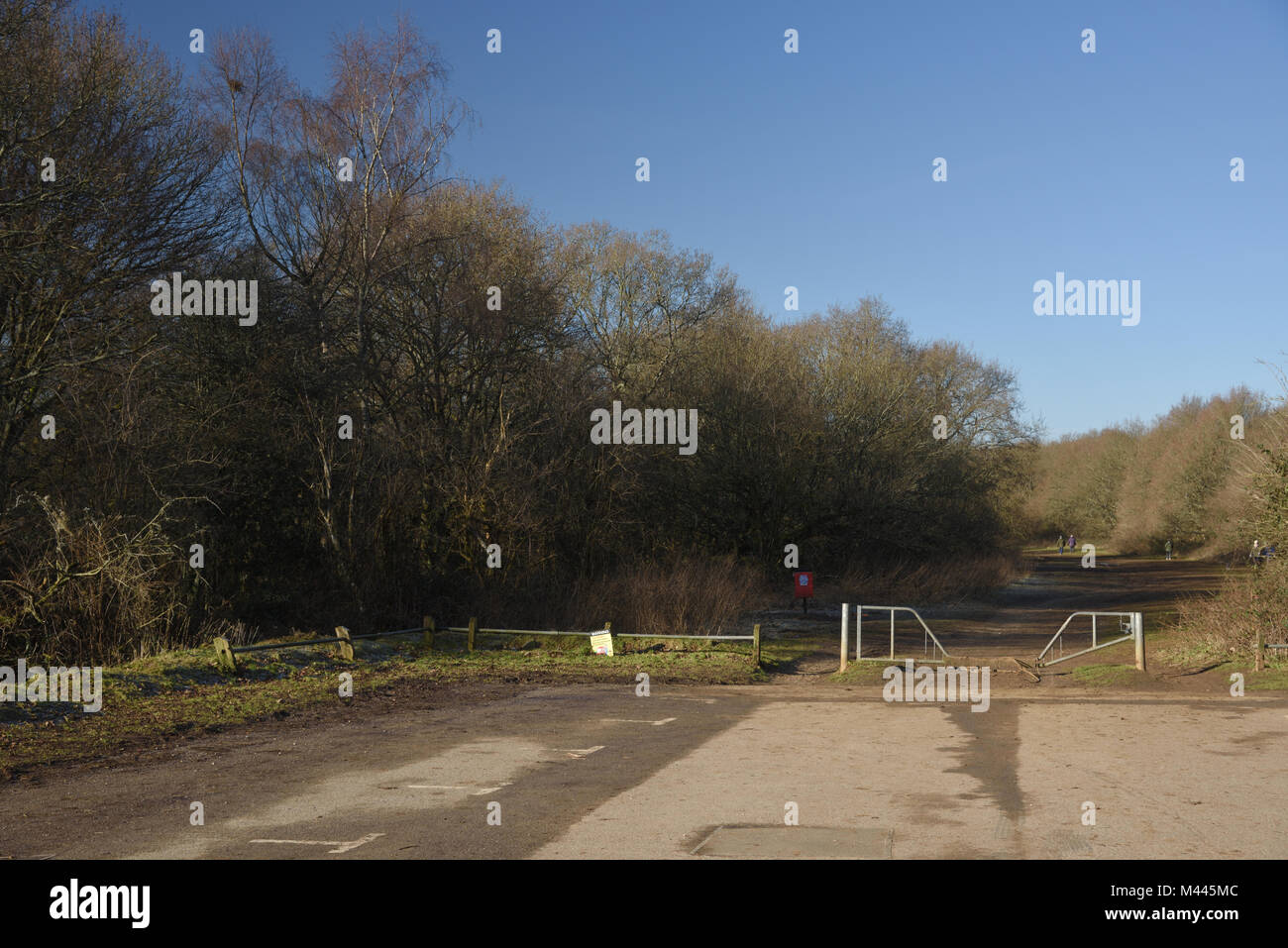 details of Newlands corner car park Stock Photo Alamy