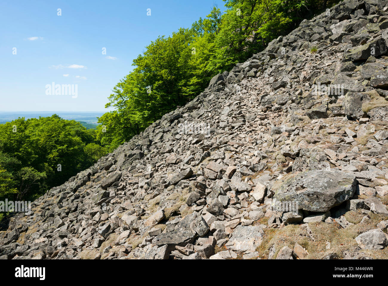Block heap at Milseburg mountain,nature reserve Milseburg,biosphere reserve Rhön,Hesse,Germany Stock Photo