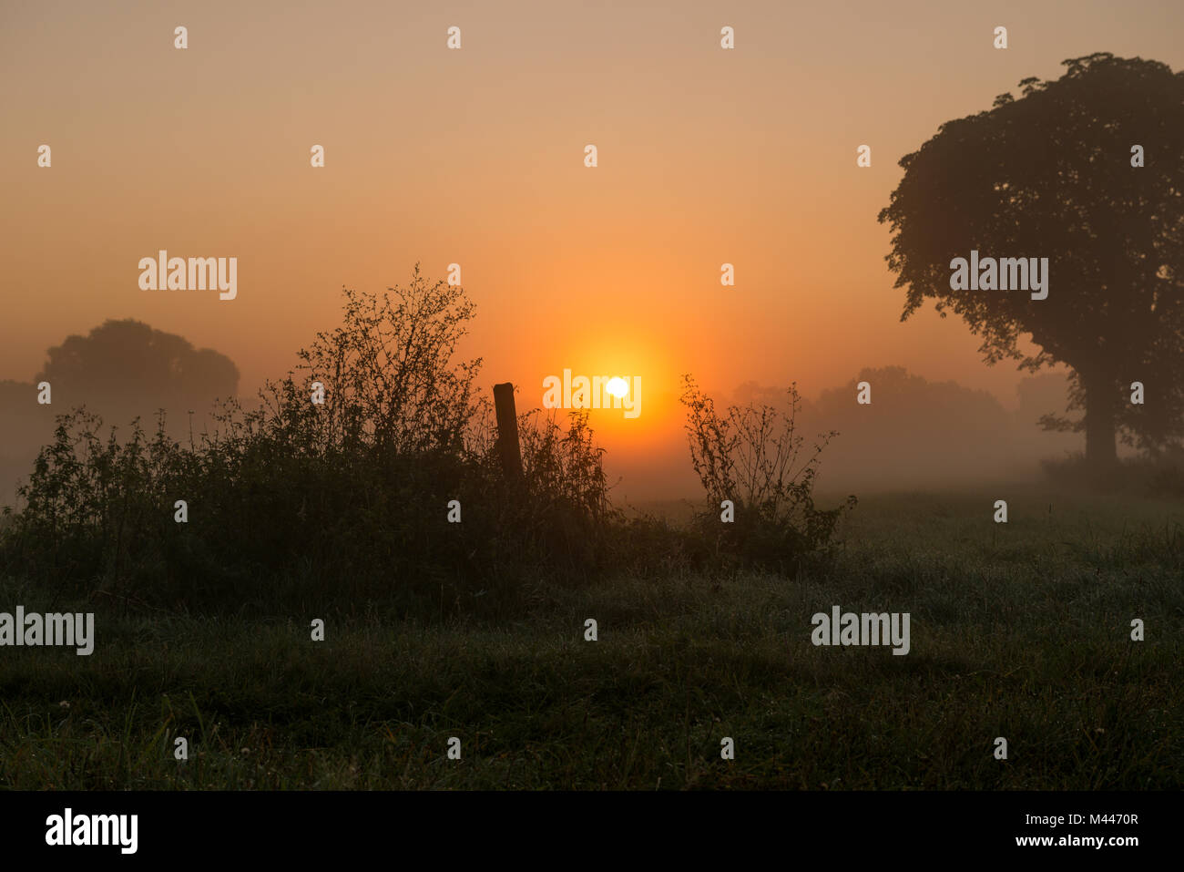 Morning fog over meadow landscape at sunrise,Lüchow-Dannenberg,Lower Saxony,Germany Stock Photo