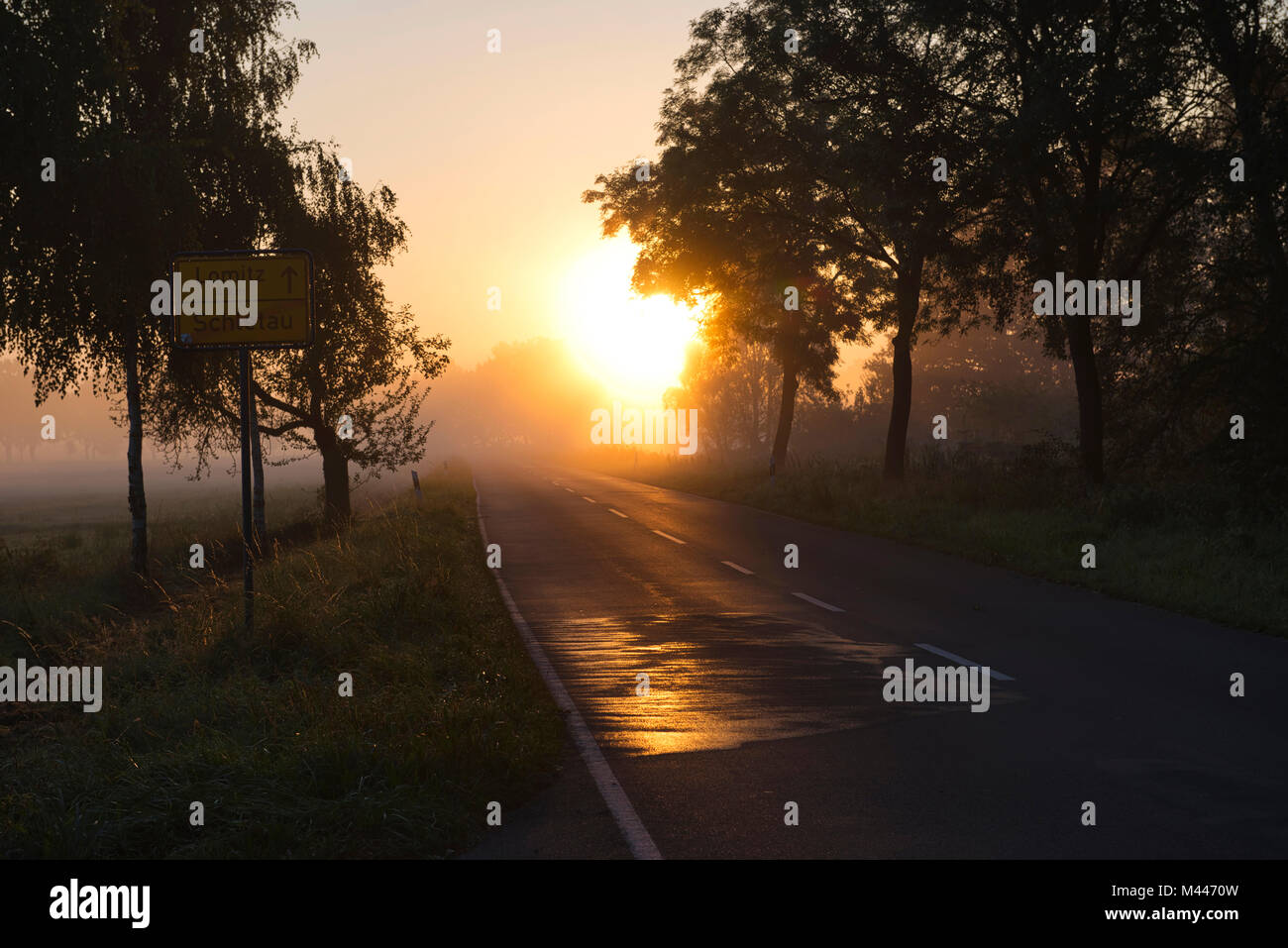 Sunrise with morning mist,country road near Lüchow-Dannenberg,Lower Saxony,Germany Stock Photo