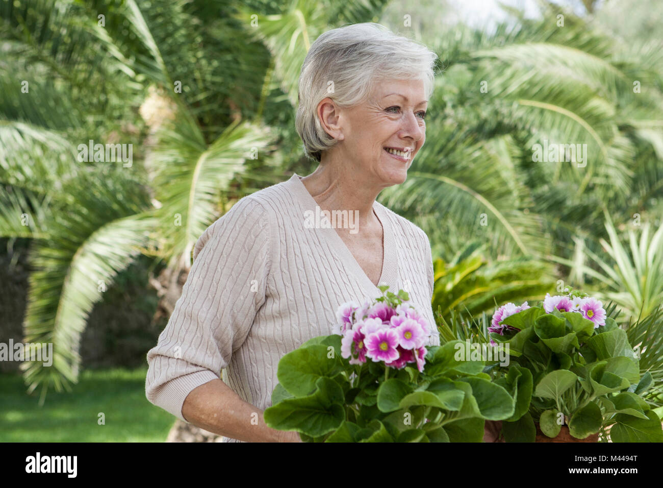 Senior woman in garden, holding plants Stock Photo - Alamy