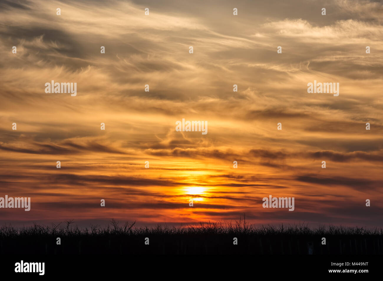 flying birds on dramatic sunset background Stock Photo