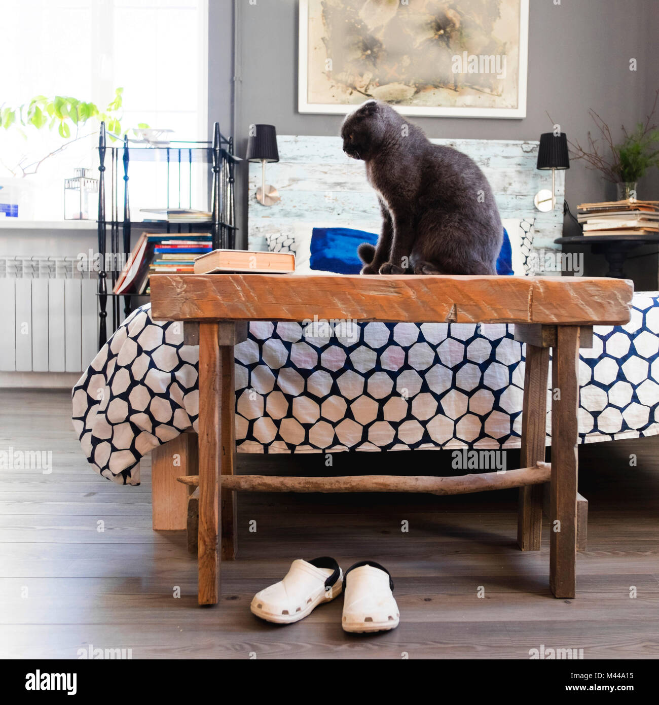 Cat on bench at end of bed Stock Photo