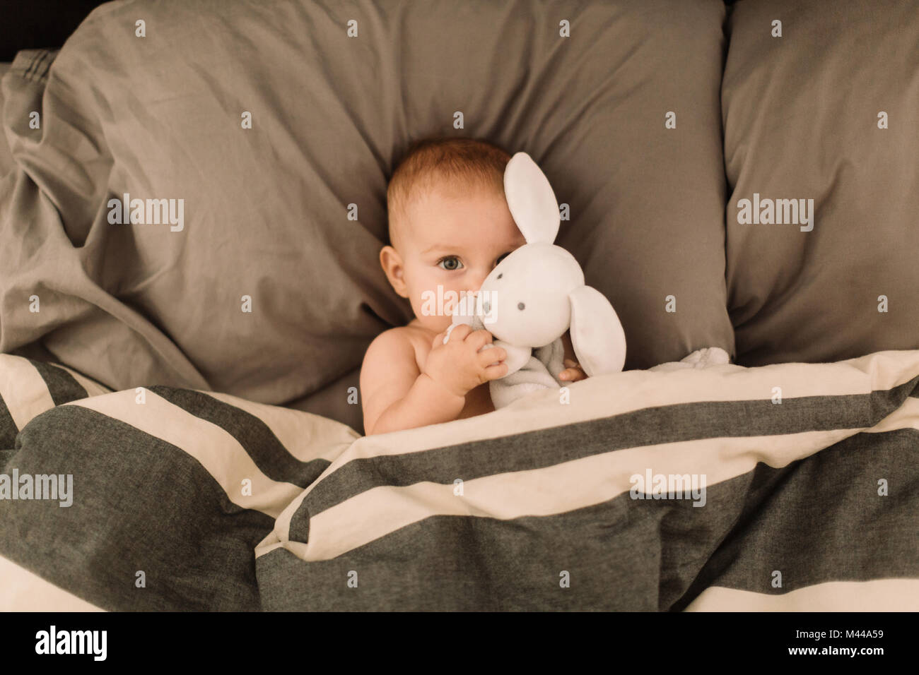 Portrait of baby girl lying in bed hugging toy rabbit, overhead view Stock Photo