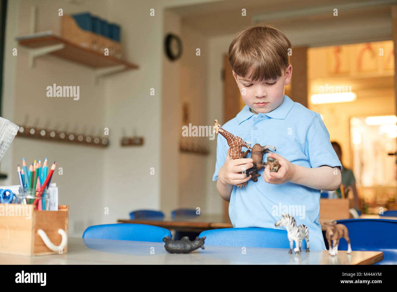 Primary schoolboy looking at plastic toy animals in classroom Stock Photo