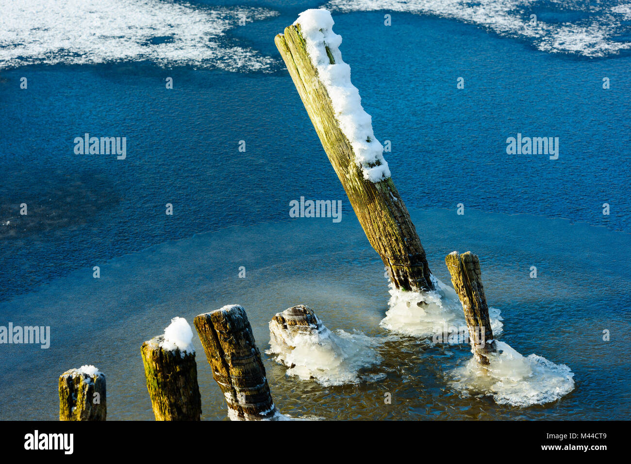 Pier remnants in frozen water. Gnarled and weathered wooden poles with ice and snow. Stock Photo