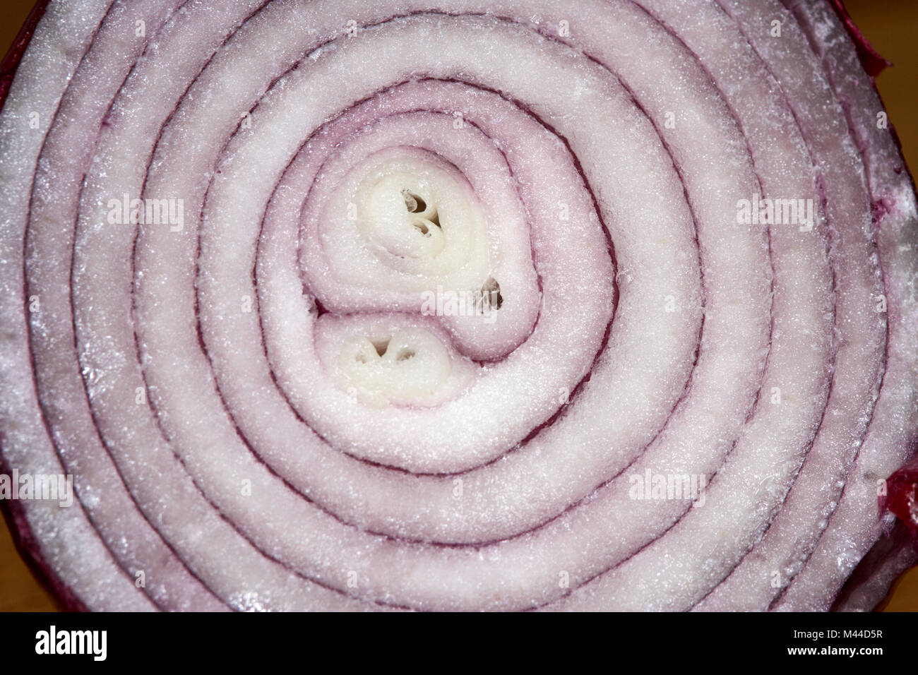 cross section of a red onion Stock Photo