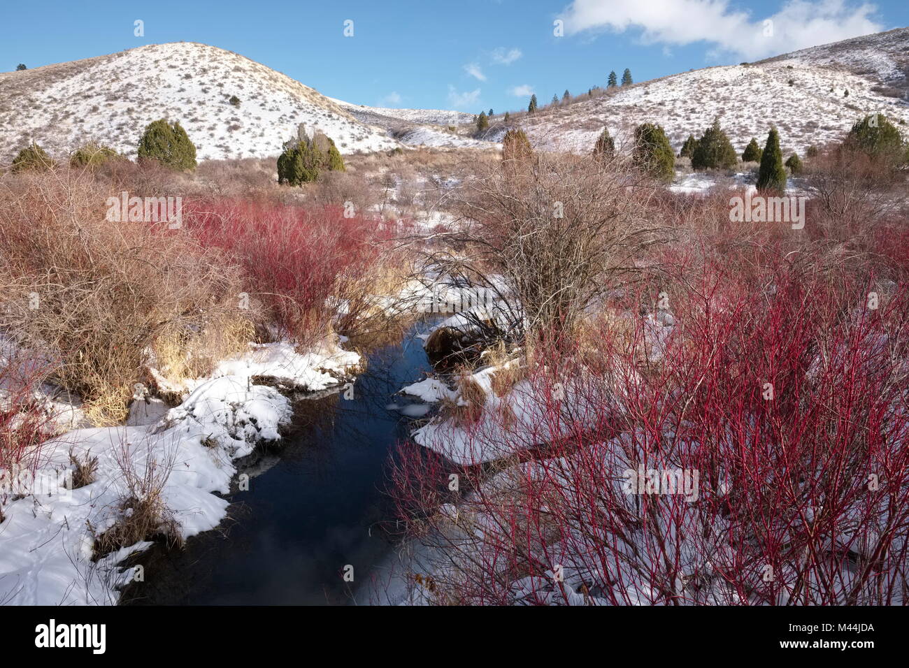 Pocatello hires stock photography and images Alamy