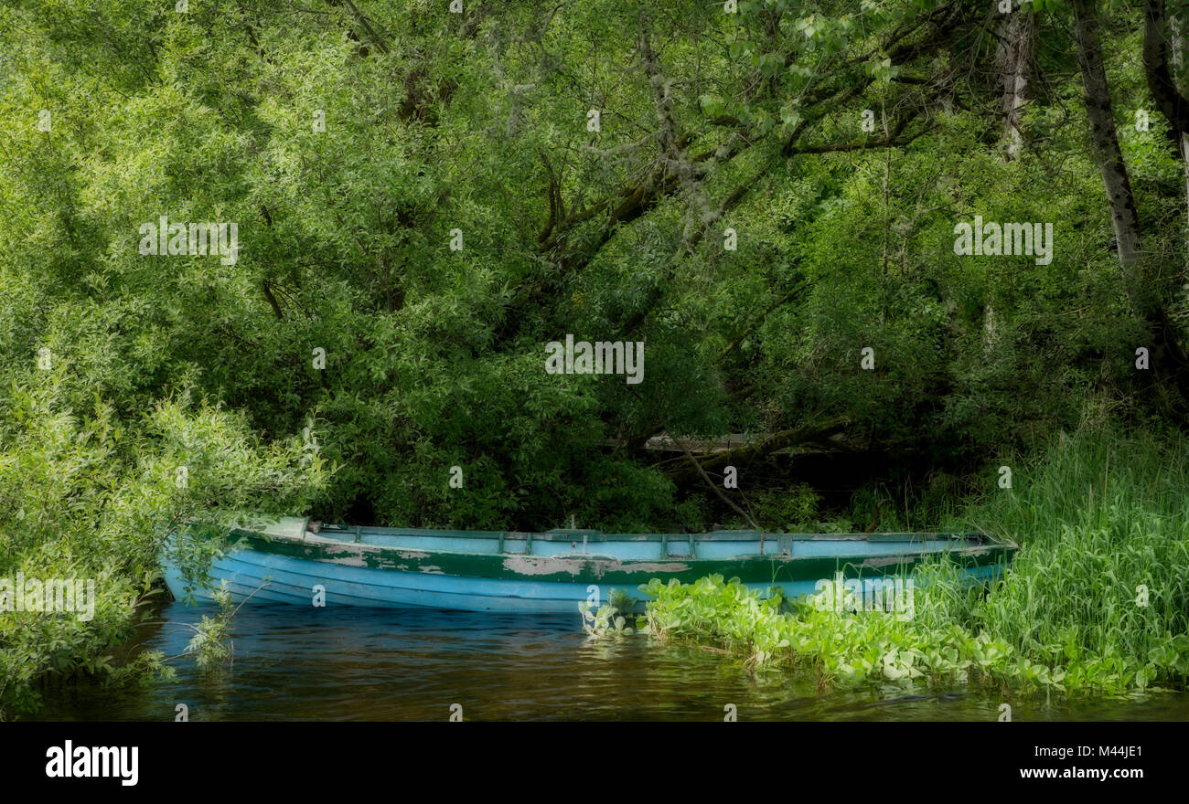 Old rowing boat in trees at Cong, Ireland Stock Photo