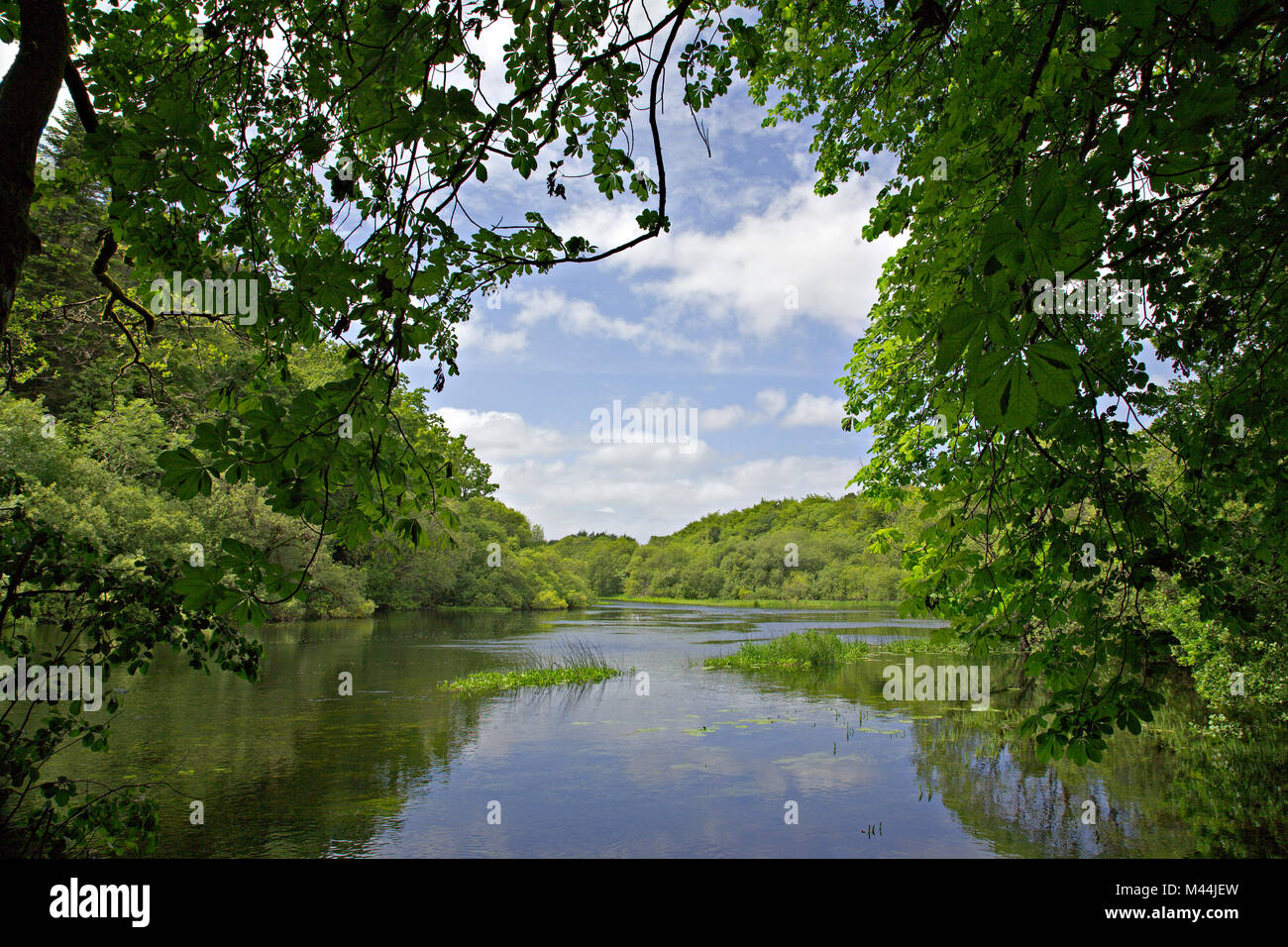 Lake and trees at Cong, Ireland Stock Photo