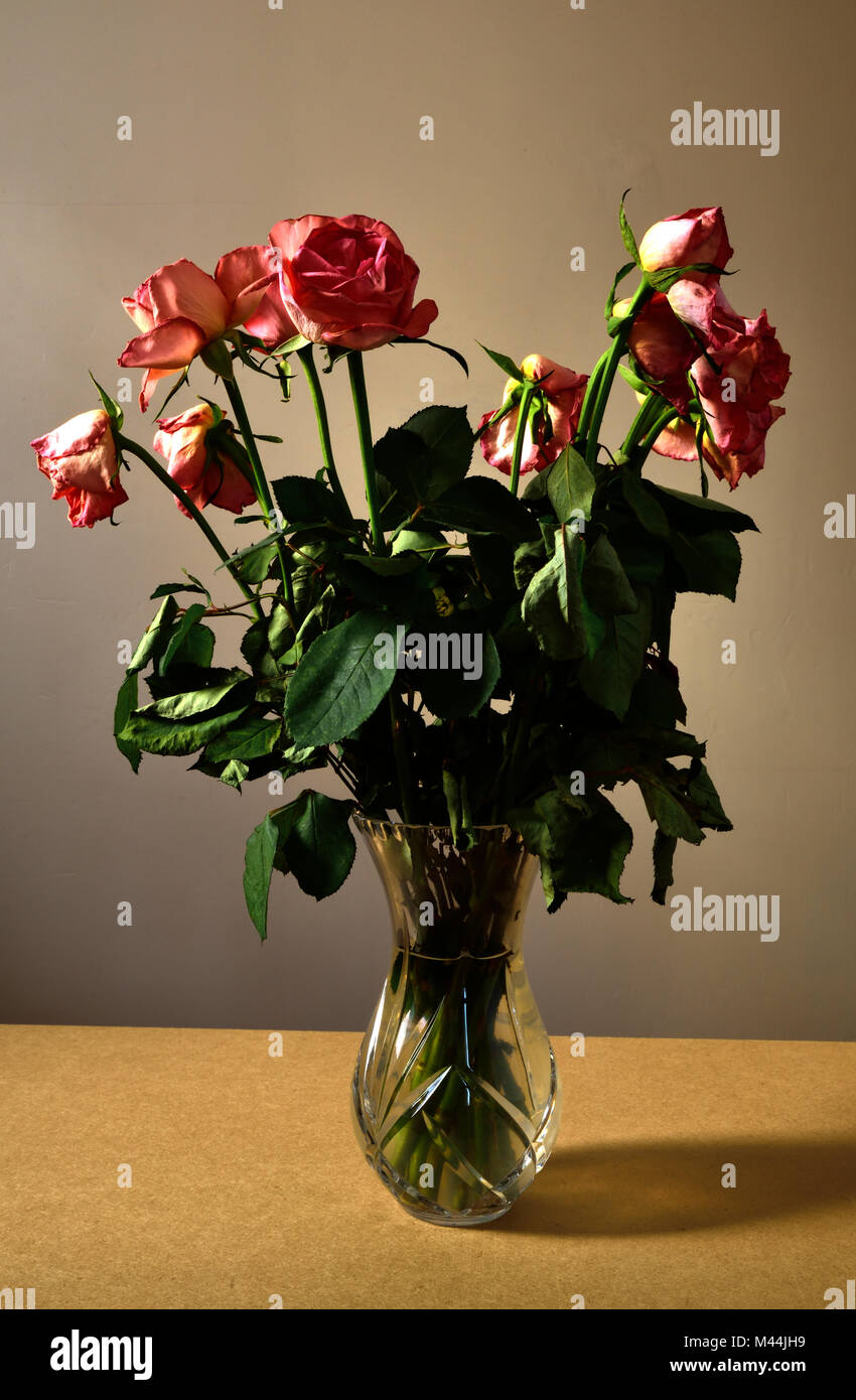 A bunch of dying pink roses in a glass vase Stock Photo Alamy