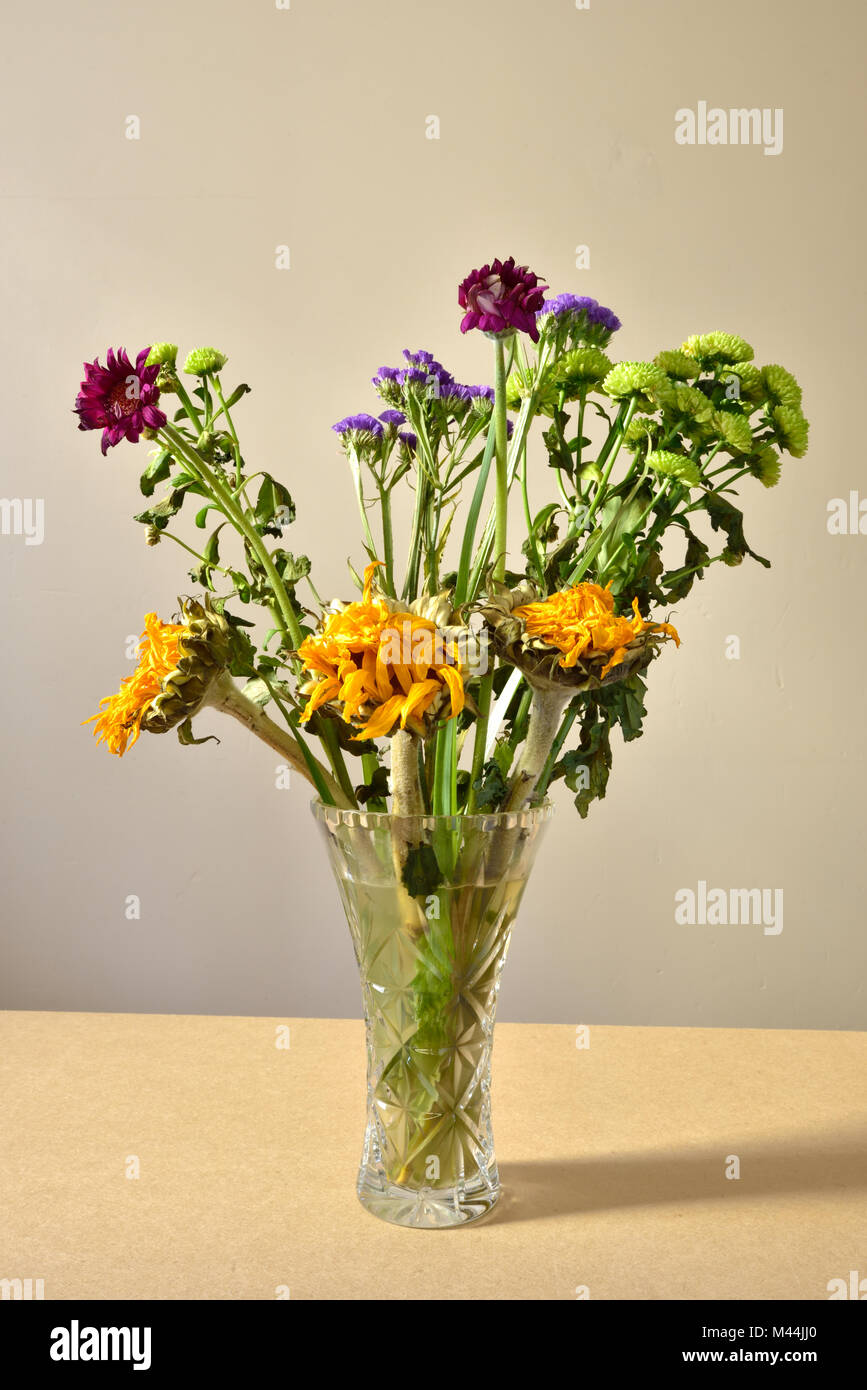 A bunch of dying flowers in a glass vase. Stock Photo