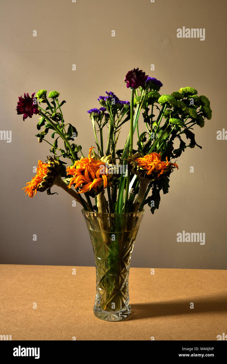 Faded flowers in vase hires stock photography and images Alamy