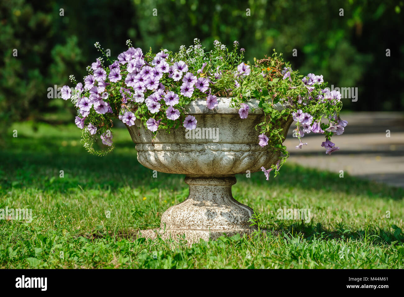 vase park flowers Stock Photo