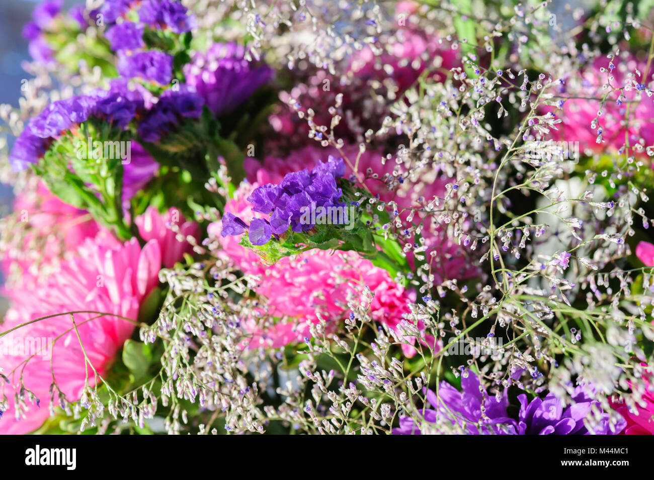Group of wildflowers hi-res stock photography and images - Alamy