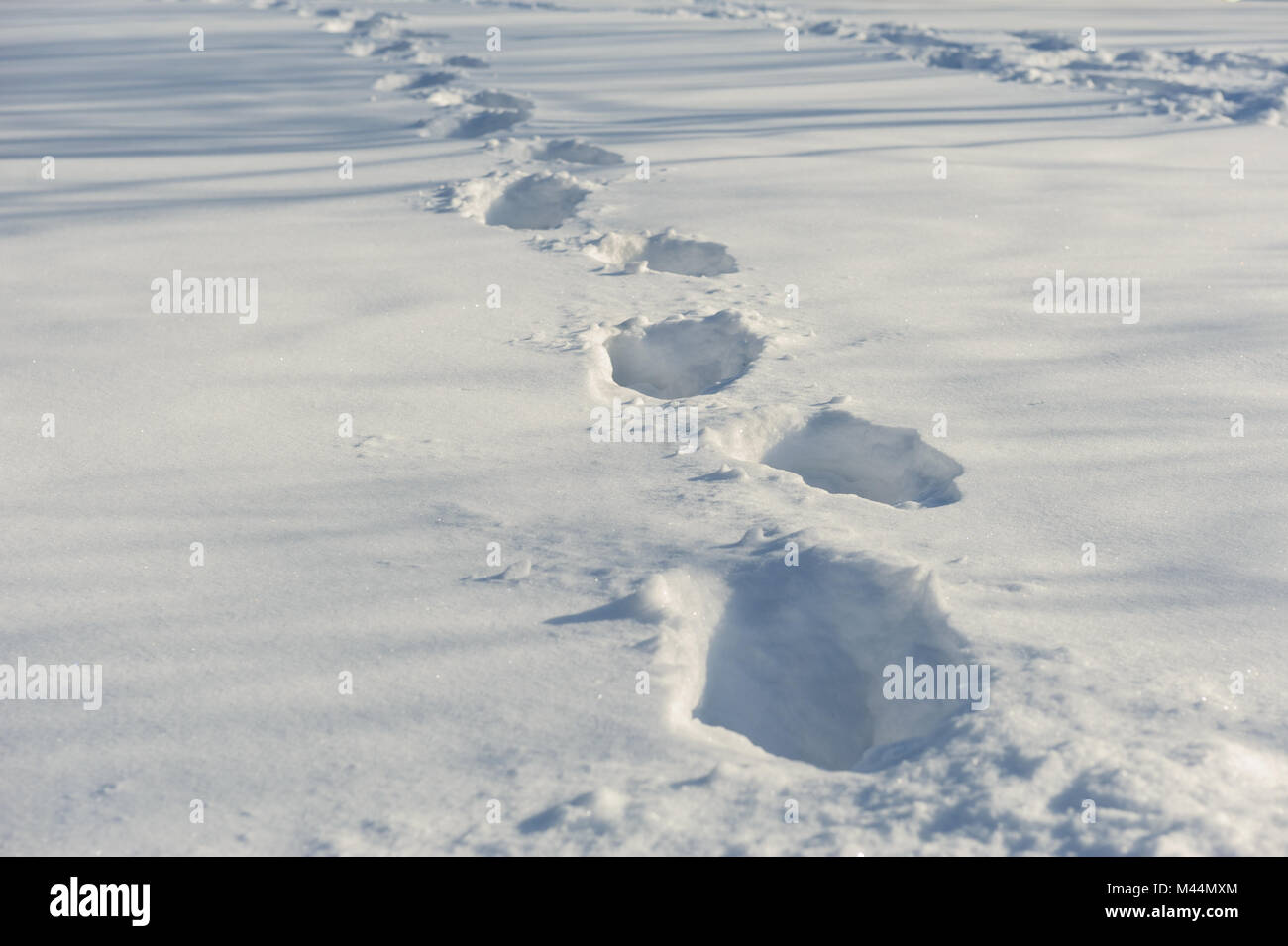 tracks on the snow Stock Photo
