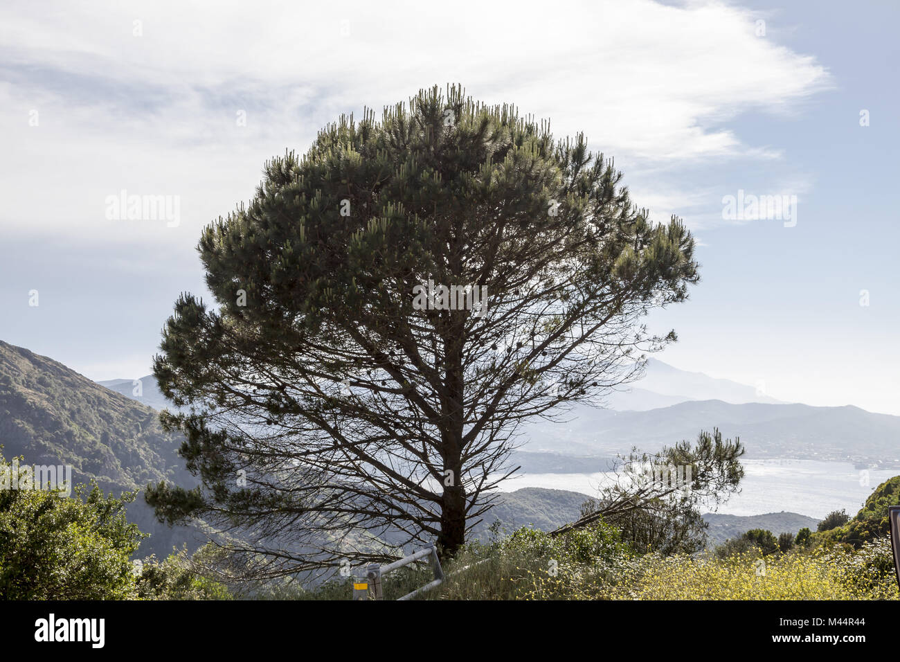 Mountain Cima del Monte near Rio nell Elba, Italy Stock Photo Alamy