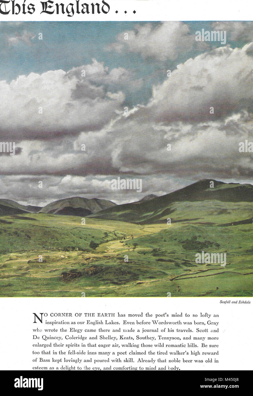 This England bass brewers beer advert, advertising in Country Life