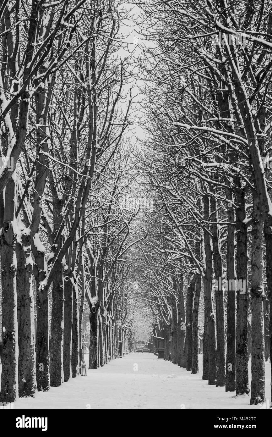 Cold winter day in a city, Paris, France Stock Photo Alamy