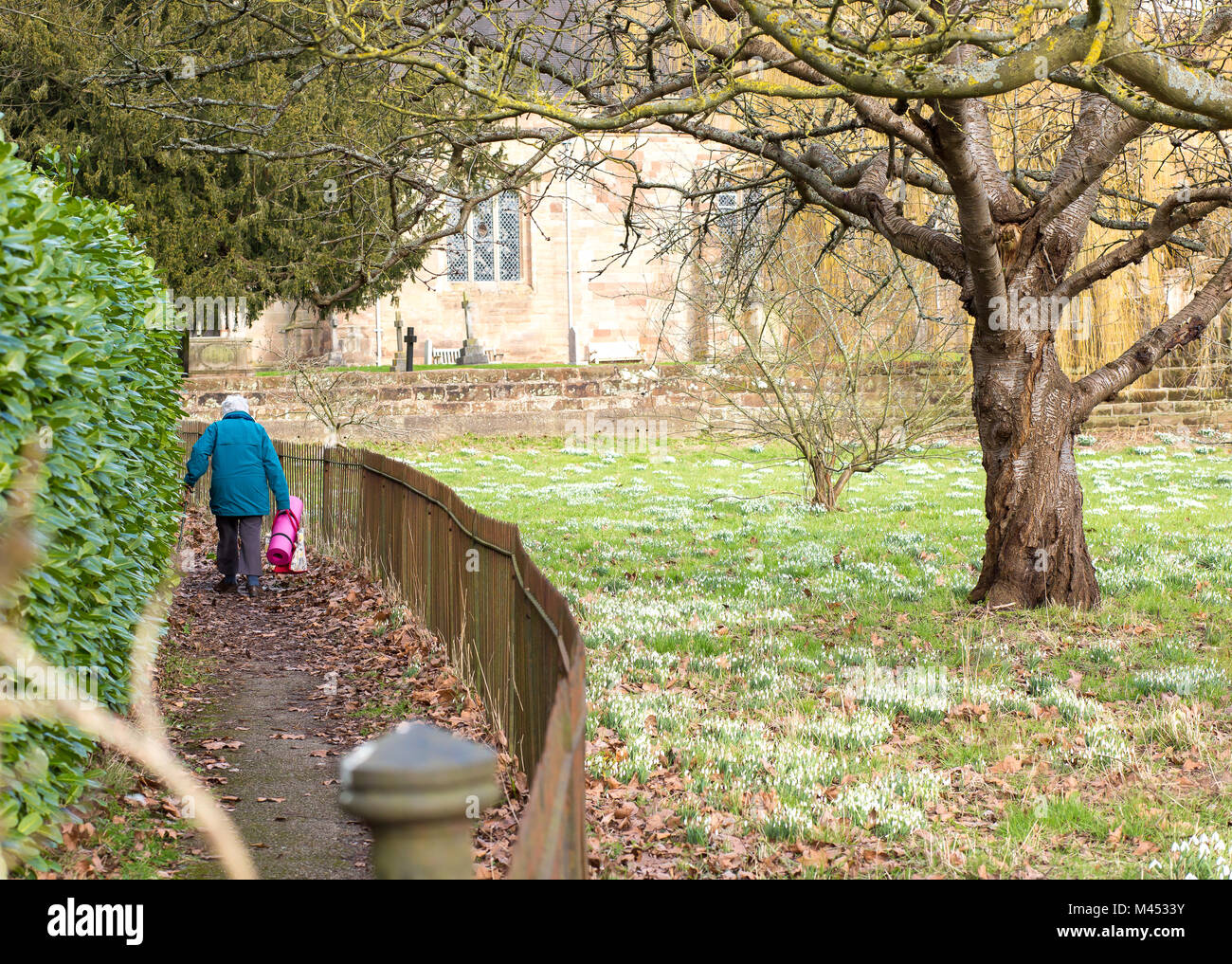Retired pensioner lady with walking stick & bright pink exercise mat, walking isolated to village UK church. Senior citizens keeping fit in retirement. Stock Photo