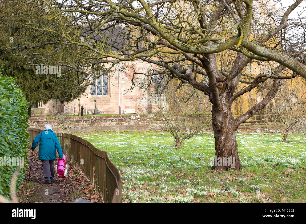 Retired lady with walking stick & bright pink exercise mat, taking a stroll towards local village church. Senior citizens keeping fit in retirement. Stock Photo