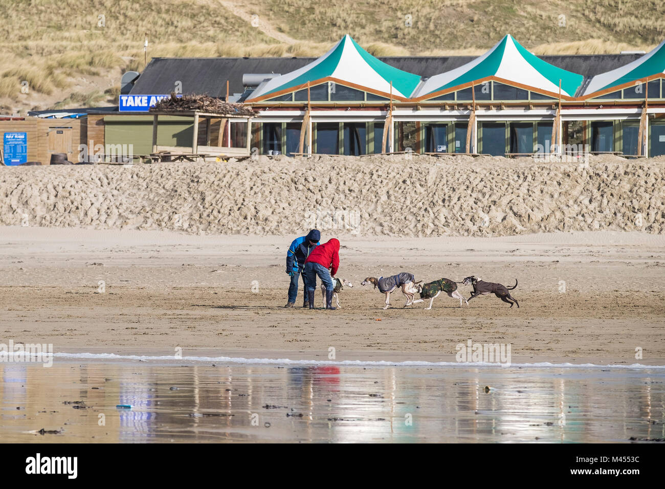 Dog walkers and their dogs on Perranporth Beach in Cornwall UK. Stock Photo