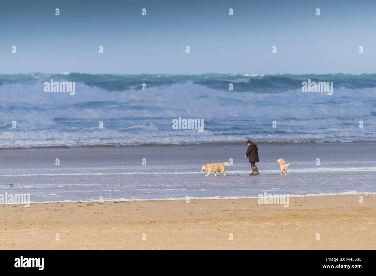 A woman walking her dogs on Perranporth Beach in Cornwall UK. Stock Photo