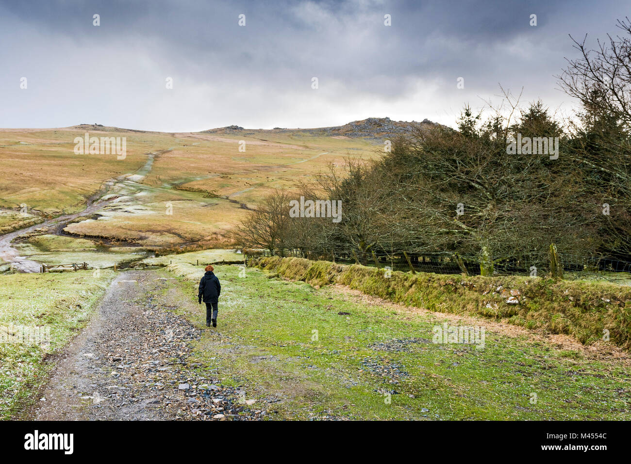 A walker on a track leading to Rough Tor on Bodmin Moor in Cornwall. Stock Photo
