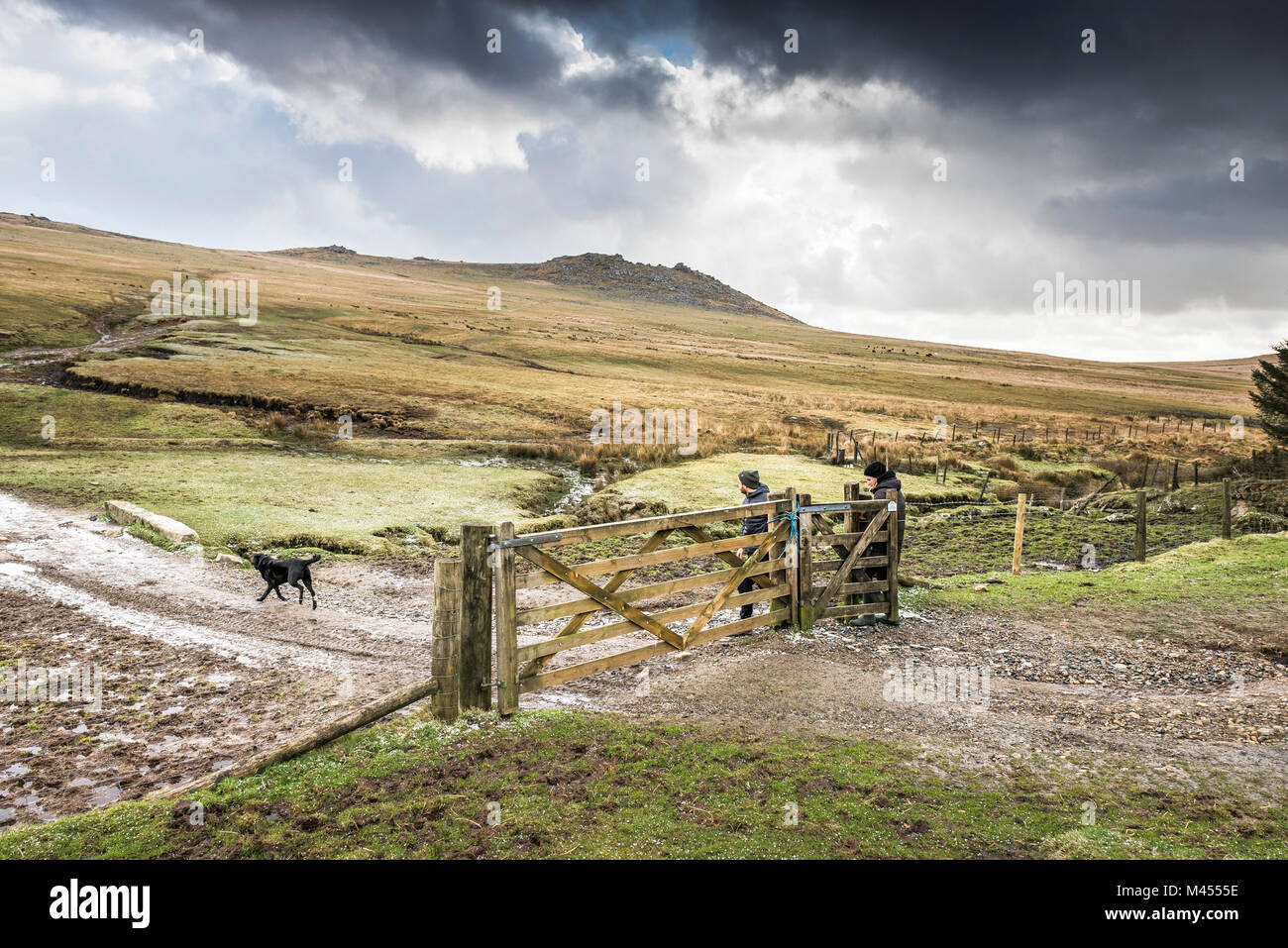 Walkers and their dog going through a wooden gate on a track on Rough Tor on Bodmin Moor in Cornwall. Stock Photo