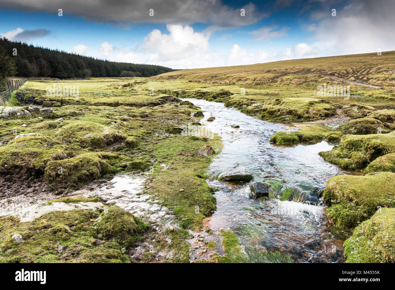 A stream flowing over moorland on Rough Tor on Bodmin Moor in Cornwall. Stock Photo