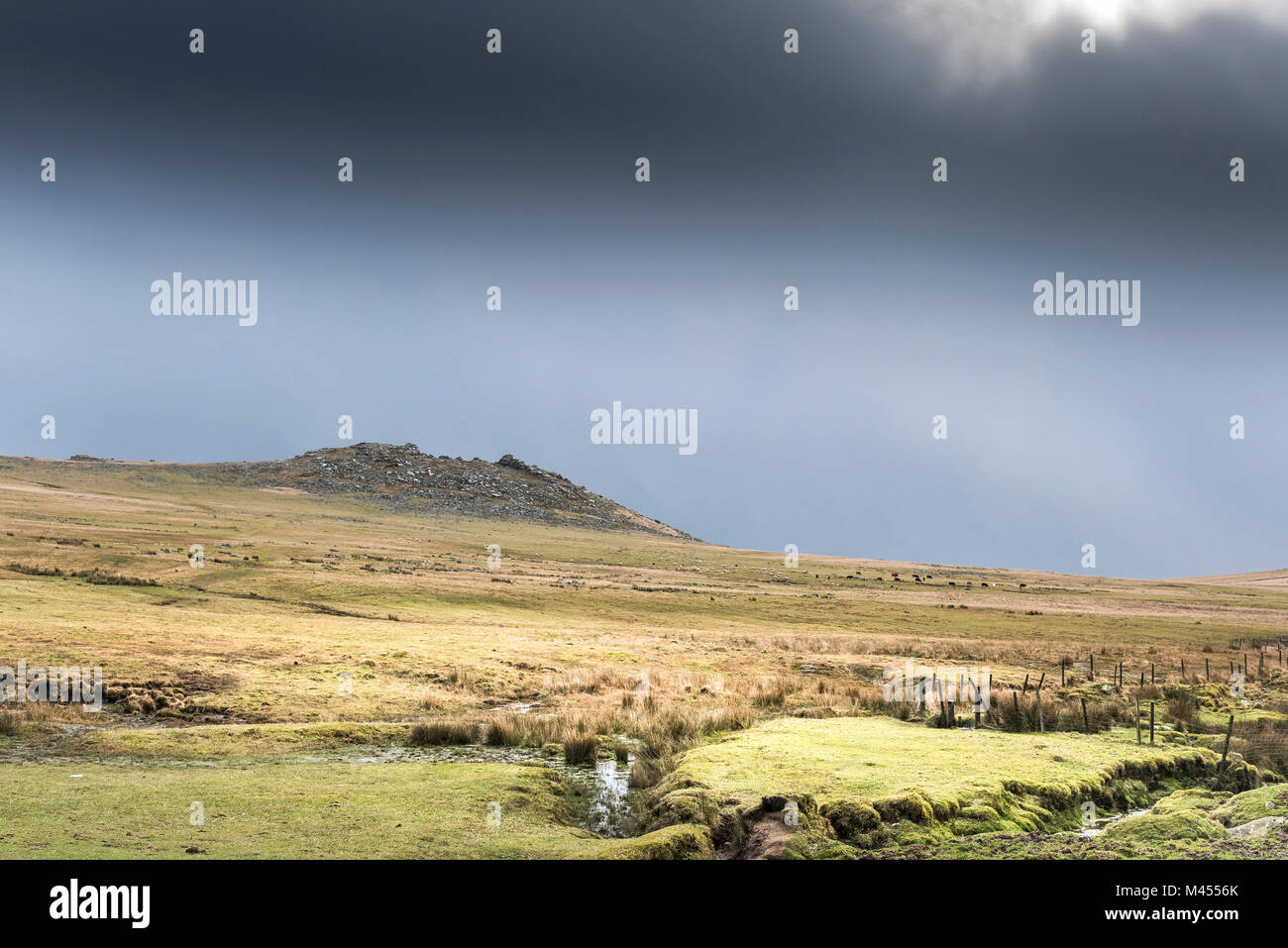Rough Tor on Bodmin Moor in Cornwall. Stock Photo