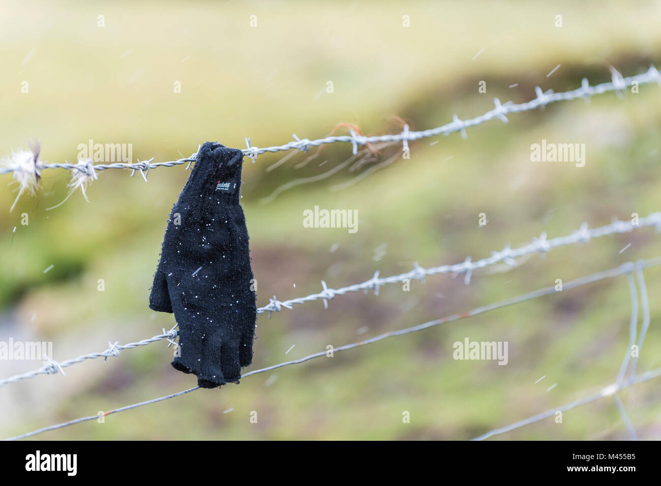 A fingerless mitten hanging off a barbed wire fence. Stock Photo