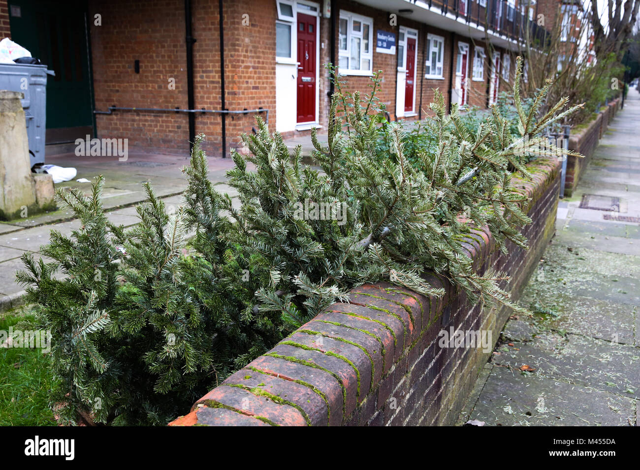 Discarded Christmas trees on the streets of Haringey in north London